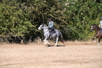 WJ6_7802