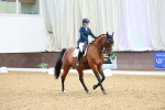 SBM_005007
