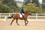 SBM_01531