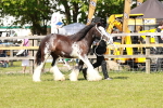 SBM_08546
