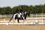 SBM_006495
