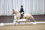 SBM_004306