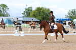 SBM_00321