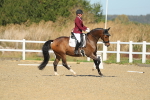 SBM_000696
