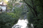 River Frome _41