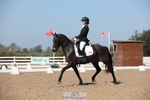 Cls 26 FEI Pony Team portfolio