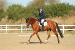 SBM_000161