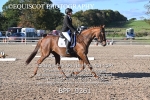 BPP_9261