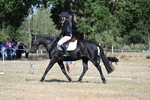 WJ7_9506