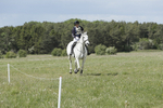 BVHT 140517  NXC -551
