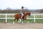 SBM_006736