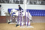SBM_002653
