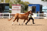SBM_04572