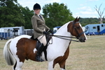Swallowfield Show Sunday 24th August portfolio