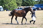 WJ6_8635