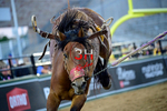 3HRodeo_PBR_All-Star_JUL_2026_0751