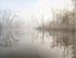 Big Creek--May Fog #2