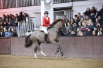 SBM_007075