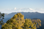 Himalayas from Khali Estate