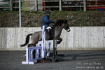 BVRC SJ 170319 6