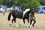 WJ6_5272