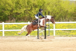 SBM_003724