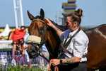 120826-Race 4-Glenfinnan-6643