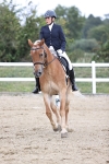 Class 14 Novice 23 - 11.53-12.56 portfolio