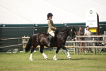 SBM_09161