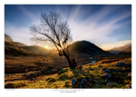 Glen Etive Sunburst