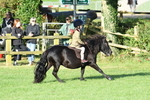 SBM_54062