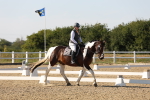 SBM_006991