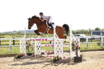 SBM_005282_Class 13 - Senior Foxhunter - 120m