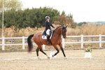 SBM_006861