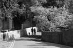 Taking a stroll