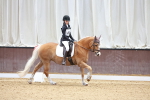 SBM_000535