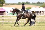 SBM_18034