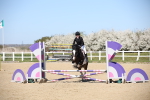 SBM_000962