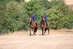 WJ6_8019