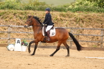 SBM_001994