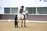 SBM_001905