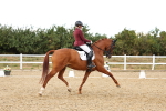 SBM_007655