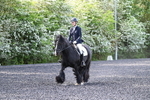 WJ7_7830
