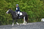 WJ5_9015