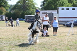 WJ6_8939
