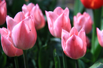 APRIL 2015-10