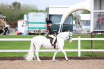 SBM_00219
