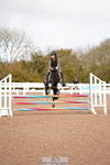 SUN Cls 4 Pony British Novice and 80cm portfolio