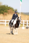 SBM_016781