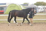 SBM_07630